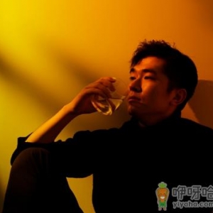 落日灯为什么那么贵