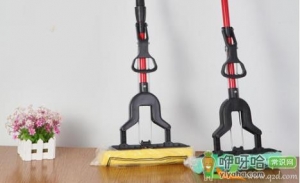 海绵拖把上的霉菌可以去除吗