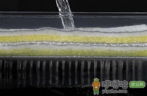 鱼缸滤网多久洗一次