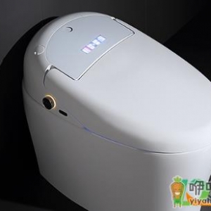 电动马桶洗屁股卫生吗