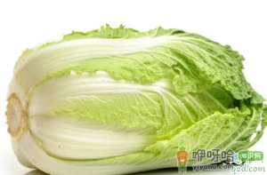 白菜喷醋可以驱虫是真的吗 白菜喷醋提高产量有什么说法
