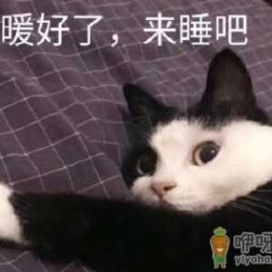 和朋友AAB制什么意思 aab制吃饭笑话的由来