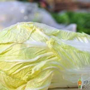 白菜带黑点怎么回事 白菜上的黑点有毒吗