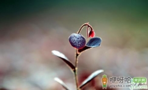 2019霜降后天气会连续下雨吗 霜降后气温一般是多少度到多少度 ...