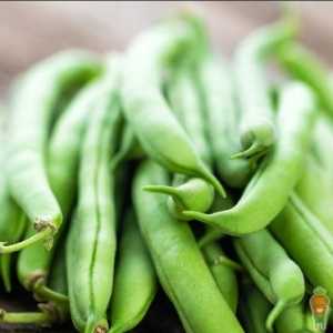 豆角是不是就是四季豆 四季豆和豆角的差别在哪