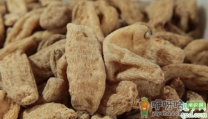 天麻煮水可以天天喝吗 天麻煮水每天喝多少合适