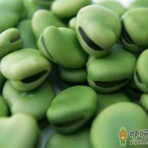 有些为什么不能吃蚕豆 蚕豆症一辈子吗