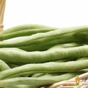 芸豆放冰箱冻了还能吃不 芸豆怎么保存放的久