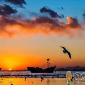 抖音仙螺岛在哪个城市 仙螺岛在南戴河还是北戴河