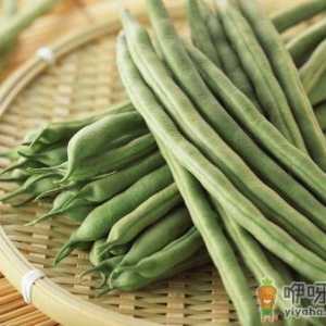 淹生芸豆有毒吗 芸豆怎么烹饪好吃又营养