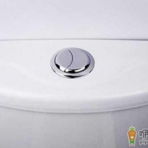 马桶上的两个按钮按哪个更省水 马桶一大一小按钮是什么意思 ...