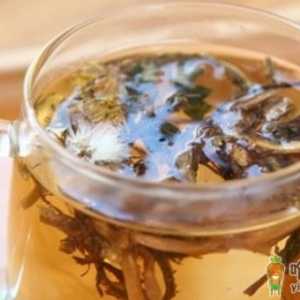 夏天喝蒲公英泡水有什么好处 蒲公英泡水喝的功效