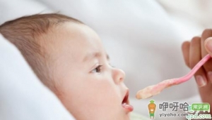 能不能用奶粉冲米糊给宝宝喝 用奶粉冲的米糊可以放多久