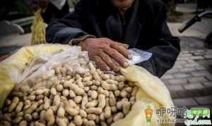 2019花生米的价格是多少 11月花生米会涨价吗