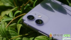 iphone11信号怎么样 iphone11信号改善了吗