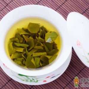 自己采摘的荷叶能喝吗 怎么辨别荷叶的好坏