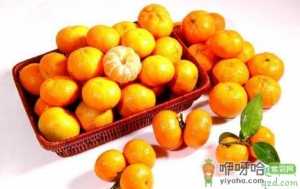 沙糖桔卖不出去是怎么回事 今年沙糖桔行情怎么样
