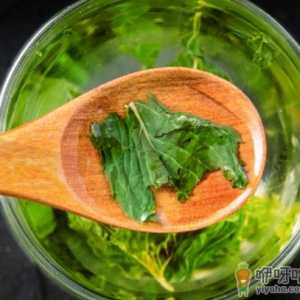 茶叶有没有假茶叶 春茶怎么看真假