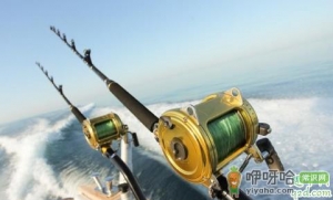 短海竿和长海竿哪个好用 海竿长短怎么选择