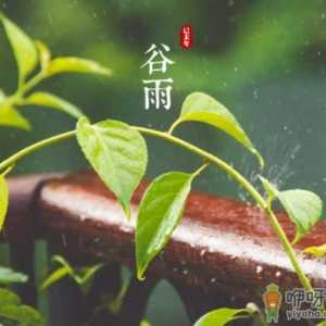 谷雨是什么季节养生 谷雨期间吃什么养生