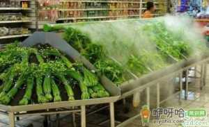 菜市场菜都是用什么保鲜的 家里蔬菜的保鲜方法推荐