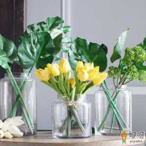 花盆没开洞可以养花吗 花盆没有孔花能活么