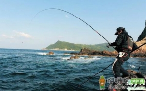 海岸边浪大怎么钓鱼 海钓能用的自然饵料有哪些