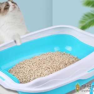 猫砂盆选什么样子的好 猫砂盆使用时需注意哪些事项