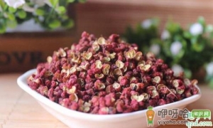 花椒立冬前发芽怎么办 花椒可以大面积种植吗