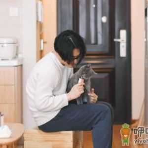 猫咪吃营养膏好不好 猫不喜欢吃营养膏怎么办