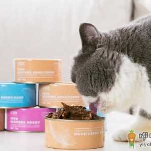 小猫能吃冷藏的罐头吗 ​猫罐头能放微波炉里加热吗