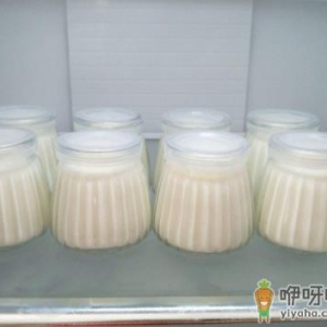 发酵酸奶的乳酸菌可以直接吃吗 为什么喝了自制酸奶肚子疼