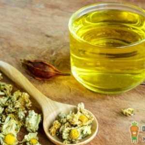 怀孕可以喝菊花茶吗 菊花茶哪些人一定不能喝