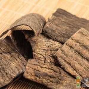 杜仲厚皮好还是薄皮好 用杜仲皮泡水对身体有啥益处