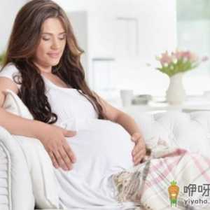 怀了两个宝宝怎么数胎动 双胞胎数胎动的方法技巧