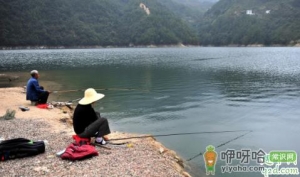 野钓用pe线好吗 野外垂钓怎么看有没有鱼