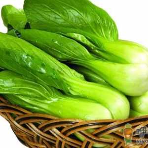 油菜什么品种产量高 秋种怎样选择油菜种