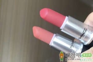 mac923和314哪个好看 mac923和314试色对比图