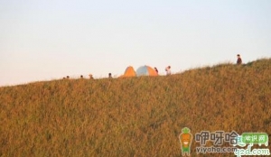 武功山帐篷是山下租好还是山上租好 武功山帐篷自己带还是租 ...