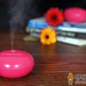 常用加湿器患肺炎？加湿器有什么危害