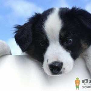 是什么导致身体维生素流失