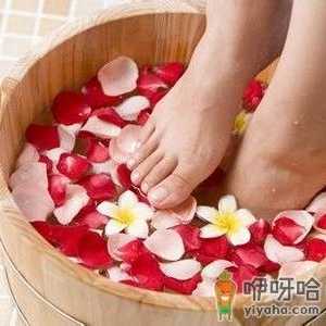 用红花泡脚有什么好处？红花泡脚的功效与作用及禁忌