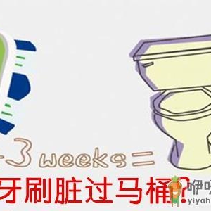 牙刷和口红真的脏过马桶？