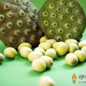 莲子一把 令你大脑灵活降压安神简单又有效