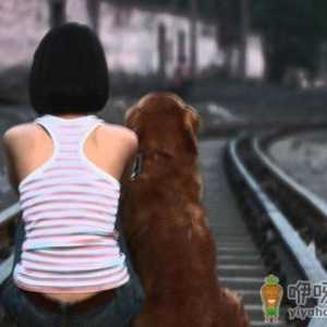 什么是泌尿系统感染？