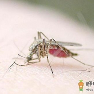 蚊虫多被咬奇痒难耐 祛病驱蚊药浴推荐