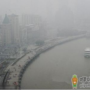 雾霾季你必须要知道的事