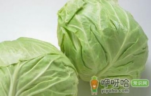 冬季重视饮食补养 如何进补？