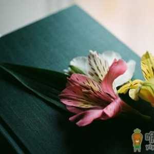 不同健康隐患危害着你的身心