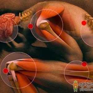 真相！为什么运动过度对身体有伤害